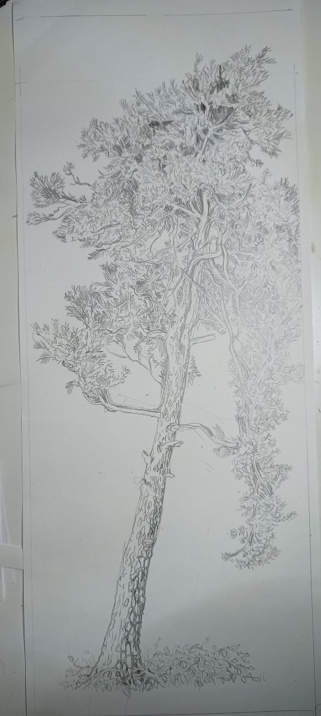 Pencil sketch of a fire tree