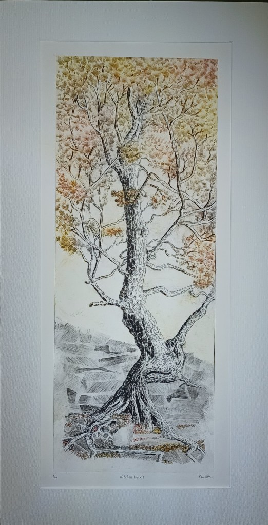 Autumn tree growing in between the rocks