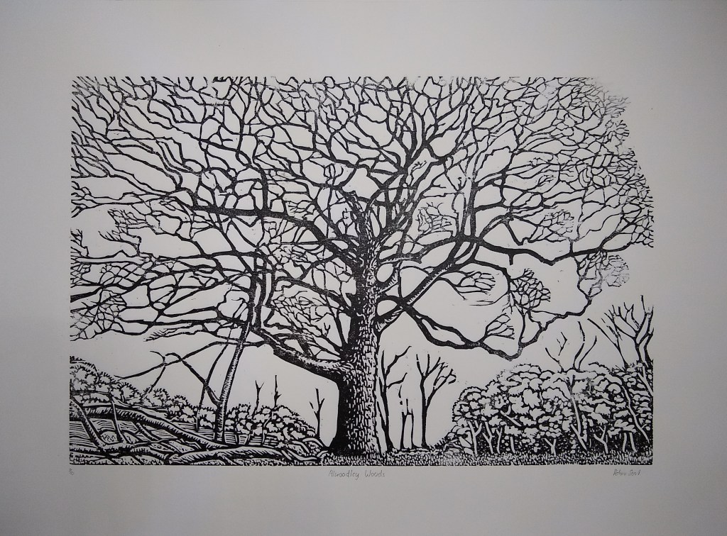 black and white woodcut print of a tree in Alwoodley woods